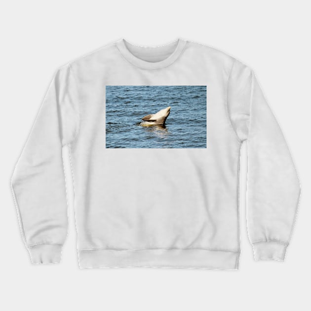 Dolphin Clapping Crewneck Sweatshirt by Cynthia48